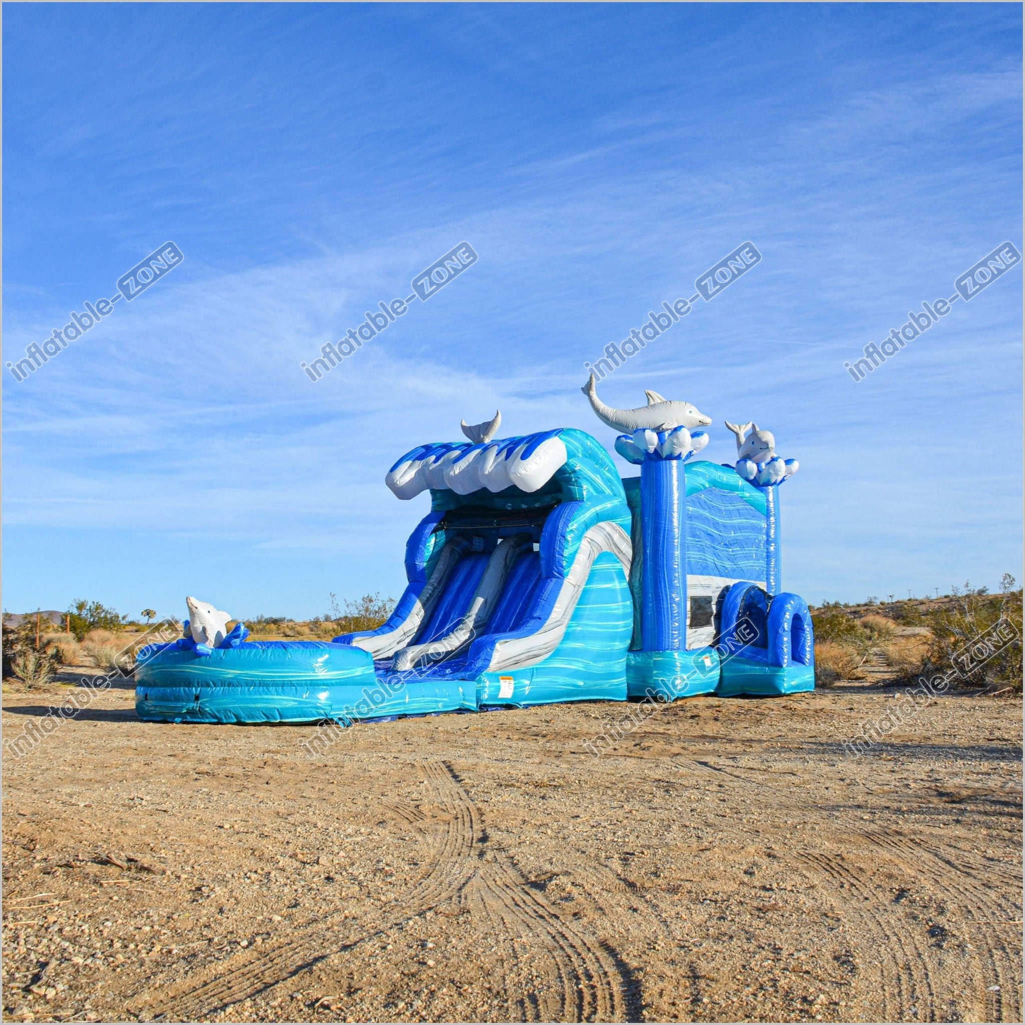Doctor Dolphin Inflatable Bouncer Slide Commercial Bounce House Packag