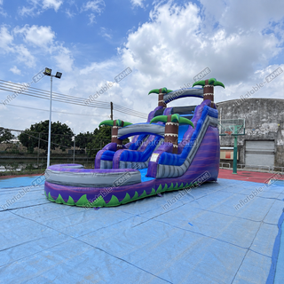 Make a splash at your next event with the Best Outdoor Inflatable Water Slide Jumping Castle! Featuring a professional-grade water slide with vibrant palm trees, this inflatable is perfect for backyard fun and parties. It combines a thrilling slide with a splash pool, creating the ultimate tropical paradise for kids and adults alike.