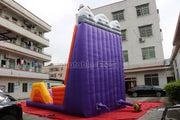 Inflatable Climbing Wall Inflatable Rock Climbing Wall Sports Game