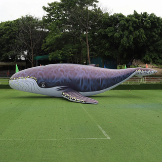 Inflatable Humpback Whale Blow Up Orca Inflatable Life Size Whale Ocean Animal Model For Outdoor Events