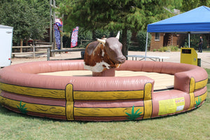 Rent Electric Bull Inflatable Machine Bull Prices On Mechanical Bulls