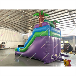 Purple Crush Inflatable Water Slides Into Pool Buy Soft Play Equipment Waterslide Pool Near Me