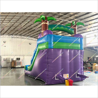 Purple Crush Inflatable Water Slides Into Pool Buy Soft Play Equipment Waterslide Pool Near Me