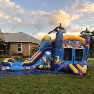 Dive into adventure with our Mermaid Water Slide Combo! This wet and dry bounce house, resembling an under-the-sea bouncy castle, promises endless fun for all ages. Let imaginations swim wild as kids bounce and slide amidst mermaids and sea creatures. Bring the magic of the ocean to your event and create unforgettable memories!