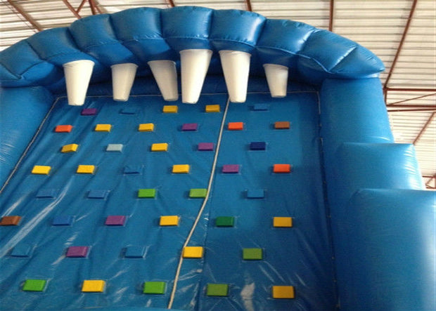 Blue Rock Climbing Bounce House 6 X 4m , Commercial Inflatable Ladder Climb