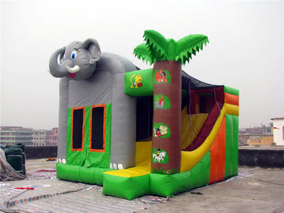 Commercial Grade Blow Up Jump House With Hand Painting Available
