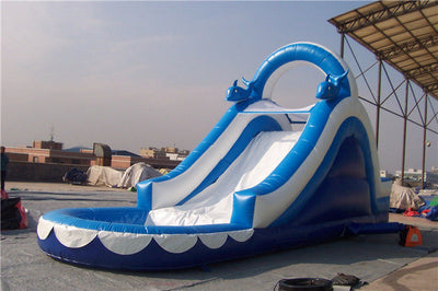 Huge Dolphin Large Inflatable Slide Fire Resistance For Adults And Kids