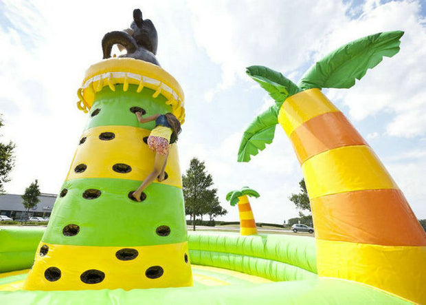 Monkey Jungle Inflatable Rock Climbing Bounce House , Water Park Blow Up Rock Climbing Wall